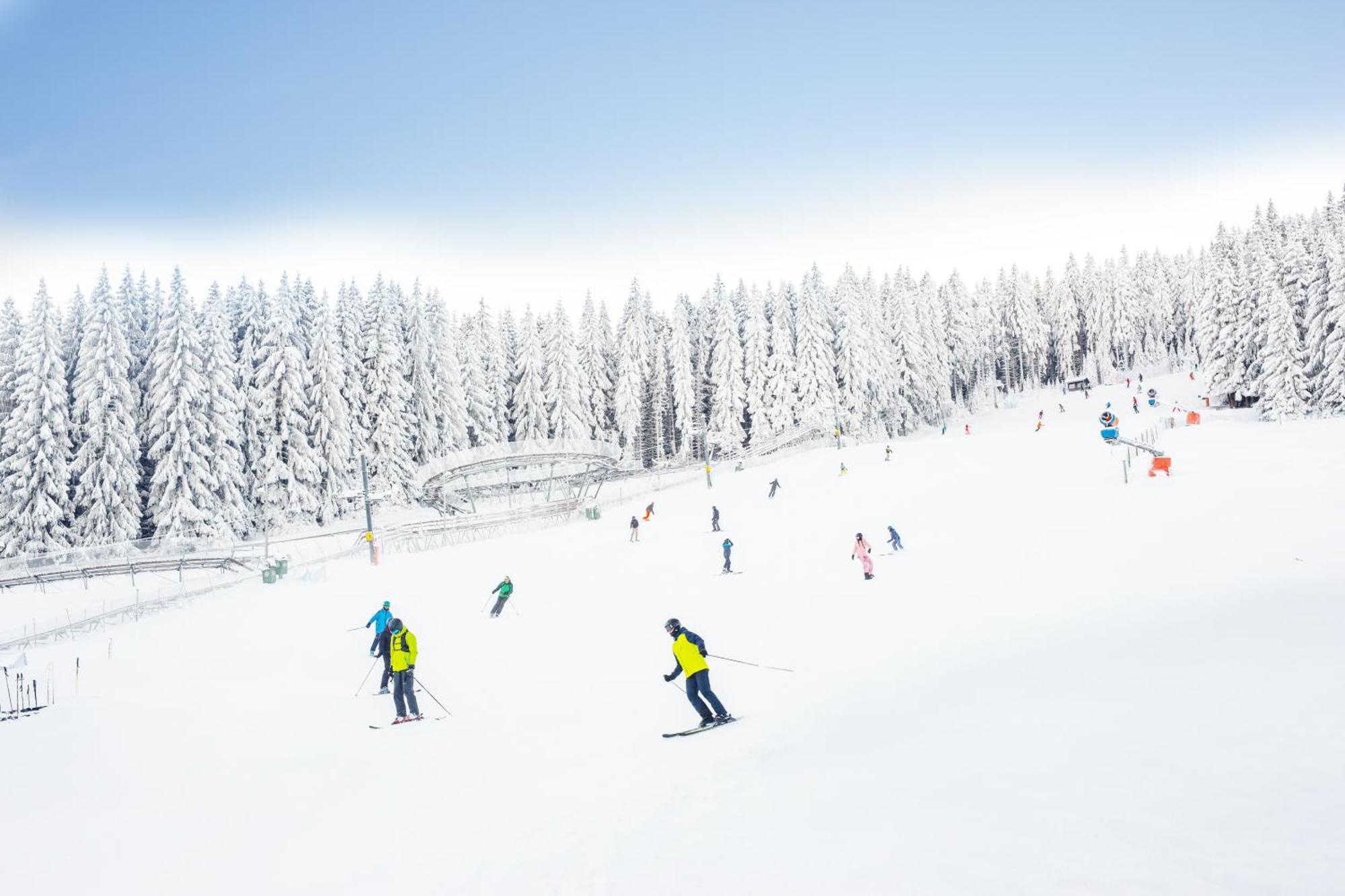 Panorama Ski, Bike, Spa & Restaurant - Czarna Gora Resort Stronie Śląskie Buitenkant foto